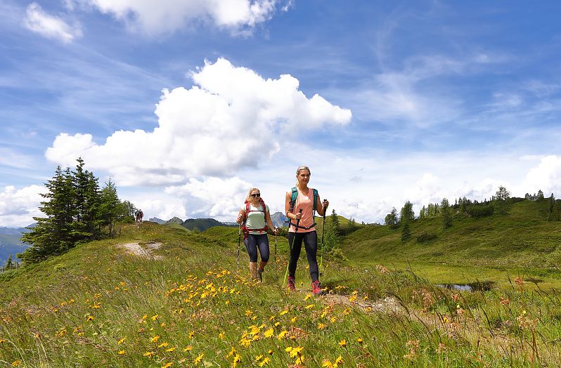 Hiking on the Salzburger Almenweg