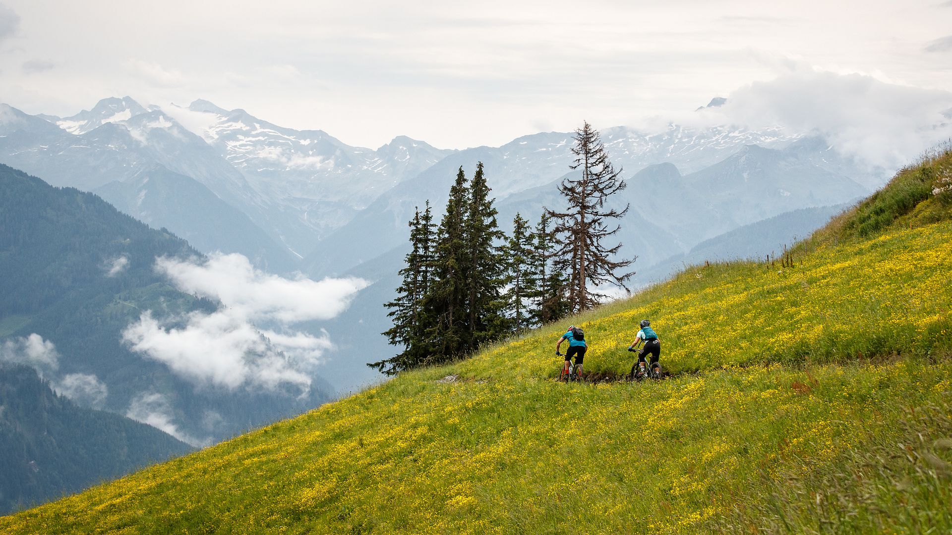 Landschaftsaufnahme vom Singletrail