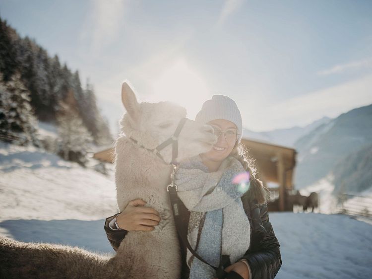 Person mit Alpaka im verschneiten Großarltal, schneebedeckte Berge im Hintergrund, klare Wintersonne.