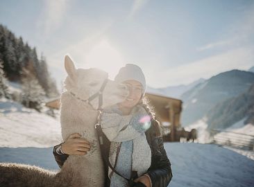 Person mit Alpaka im verschneiten Großarltal, schneebedeckte Berge im Hintergrund, klare Wintersonne.
