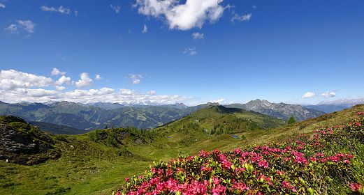 bergpanorama-troegseen-almrosen-3