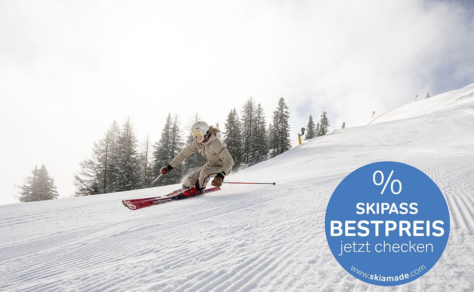 bestpreis-button-skifahrer-9