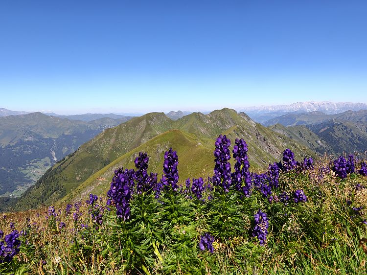 blick-vom-frauenkogel-1