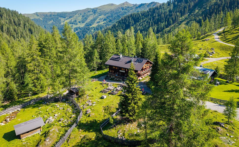 Hütte auf grüner Bergwiese am Hang, umgeben von Nadelwald, Wegen und bewaldeten Bergen.
