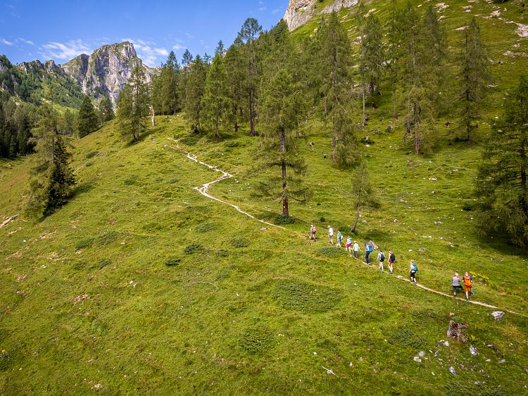 gefuehrte-wanderung-berg-gesund-1
