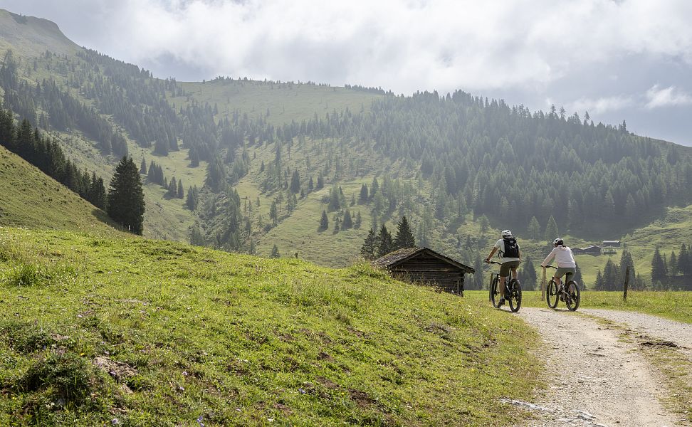 Mountainbiker fahren auf einem Schotterweg durch eine grüne Almlandschaft im Großarltal, umgeben von bewaldeten Bergen.