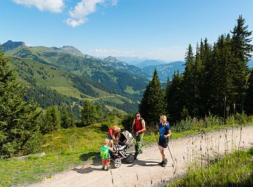 kinderwagenwanderung-14