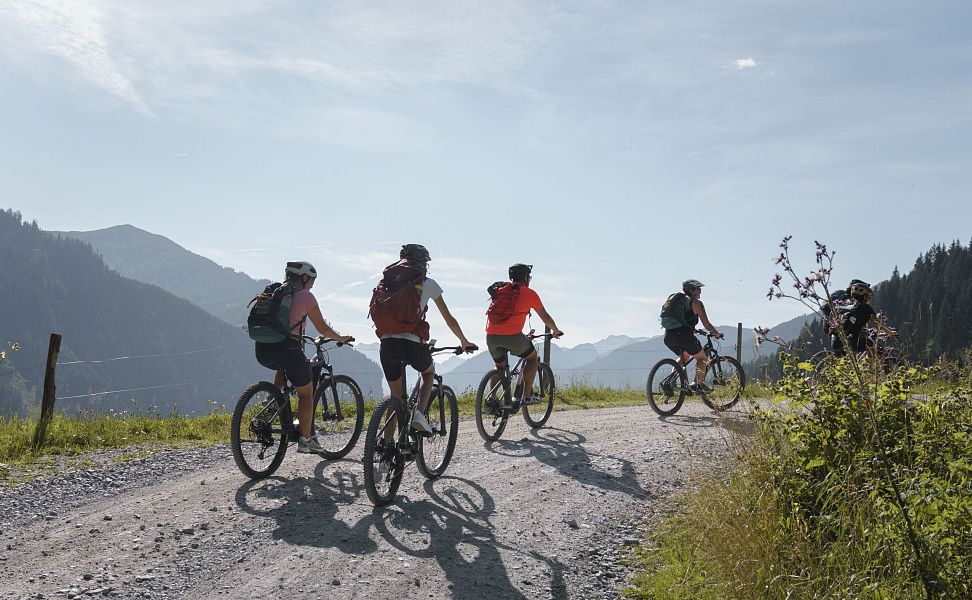 Fünf Mountainbiker fahren auf einem Forstweg bergauf