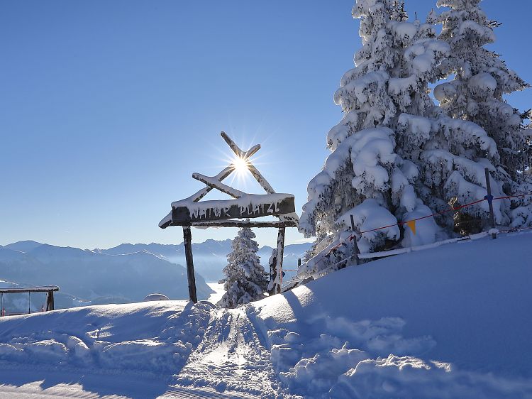 naturplatzl-skigebiet-grossarltal-dorfgastein-1