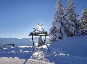 naturplatzl-skigebiet-grossarltal-dorfgastein-5