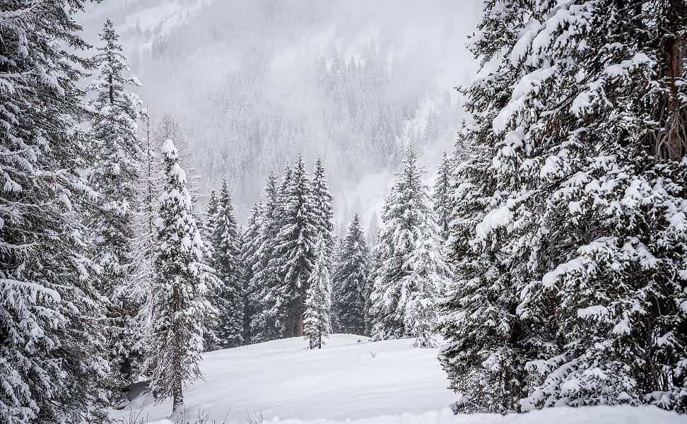 nebel-winterlandschaft-1