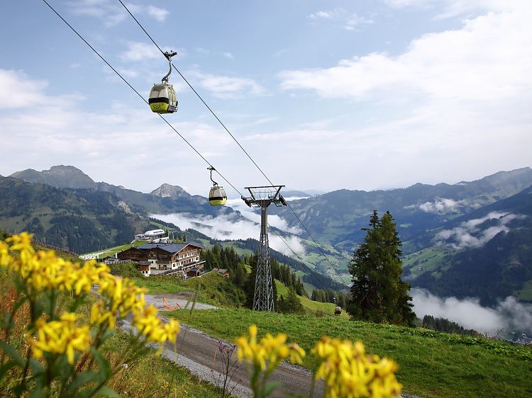 panoramabahn-sommer-1