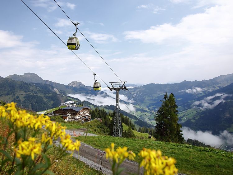 panoramabahn-sommer-10