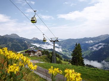 panoramabahn-sommer-5