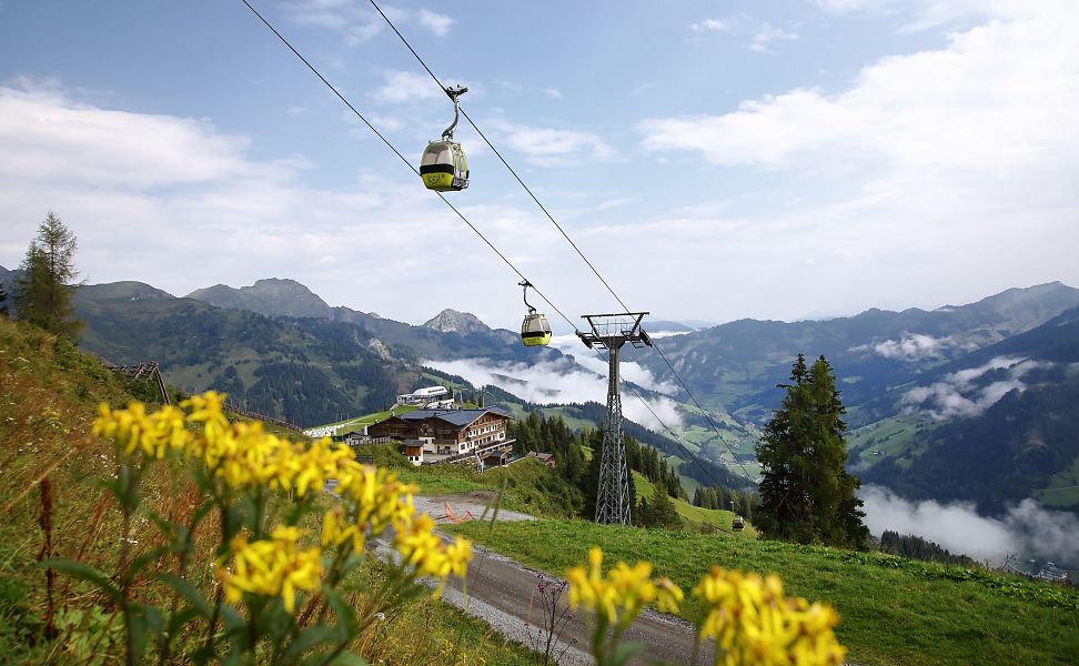 panoramabahn-sommer