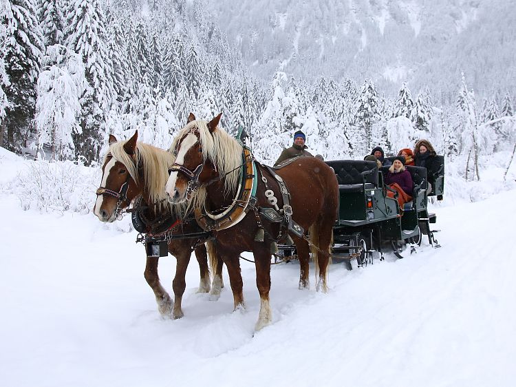 pferdekutsche-winter-1