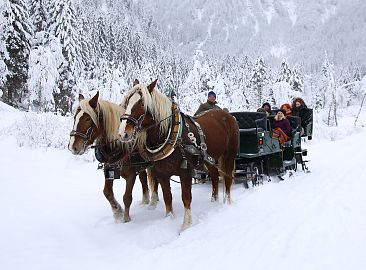 pferdekutsche-winter-5