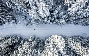 rodeln-winterlandschaft-9