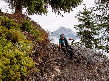 singletrail-biker-erwin-haiden-14