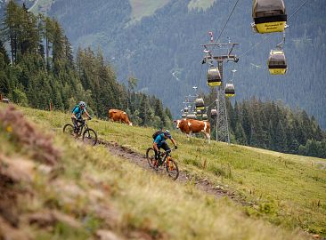 singletrail-panoramabahn-erwin-haiden-5