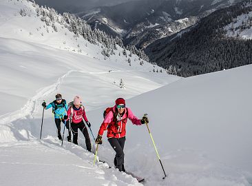 skitour-tiefschnee-gamskarkogel-5