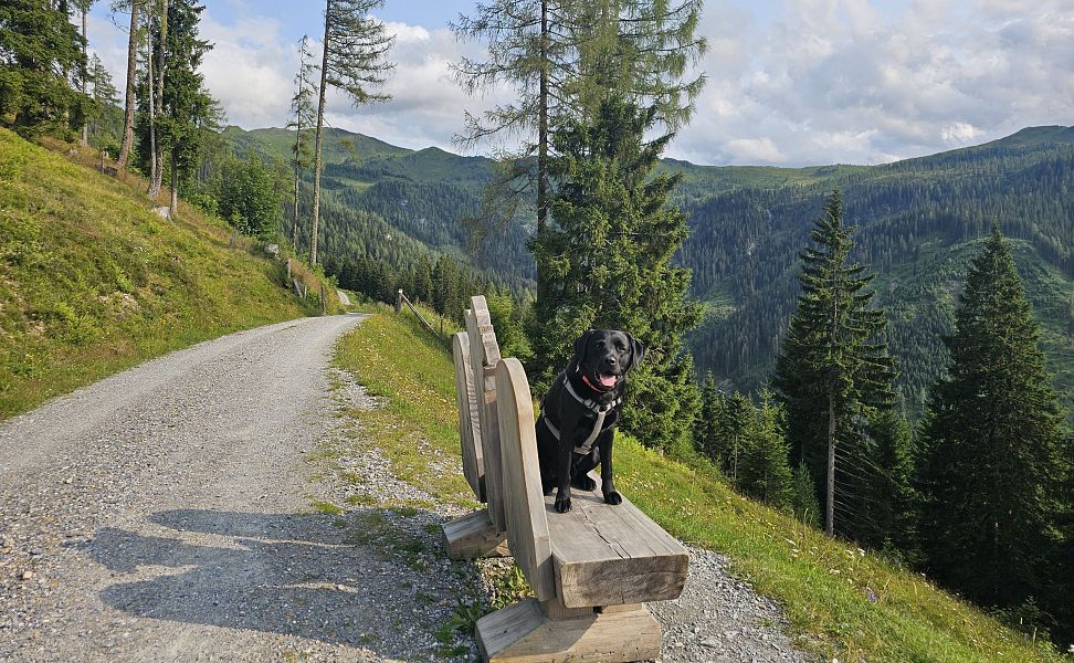 sommerurlaub-mit-hund-10