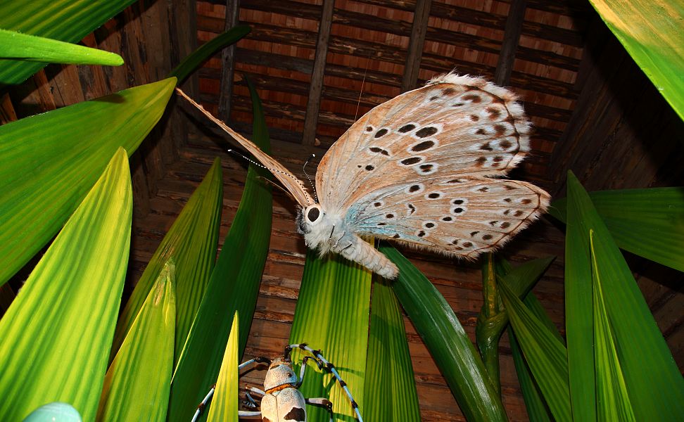 talmuseum-huettschlag-nationalpark-1