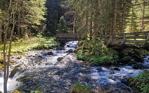 Ein Bach im Wald. Dahinter sieht man zwei kleine Brücken für Wanderer.