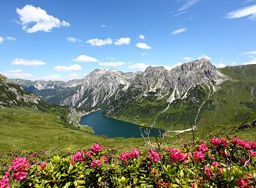 tappenkarsee-almrosen-25