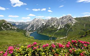 tappenkarsee-almrosen-29