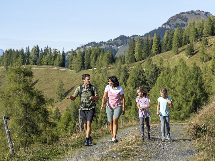 wandern-forstweg-familie-1