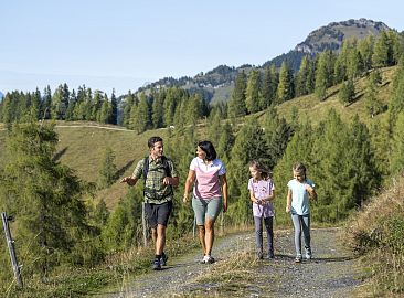 wandern-forstweg-familie-5