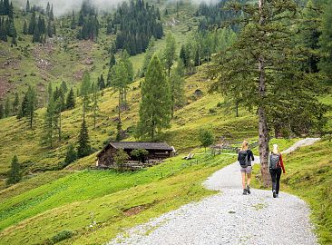 wanderung-karseggalm-hoch-14