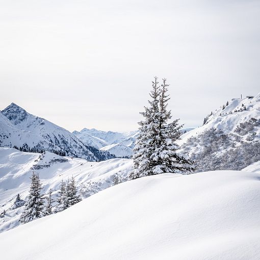 winterlandschaft-kieserl-hoch-2