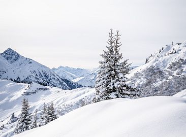 winterlandschaft-kieserl-hoch-23