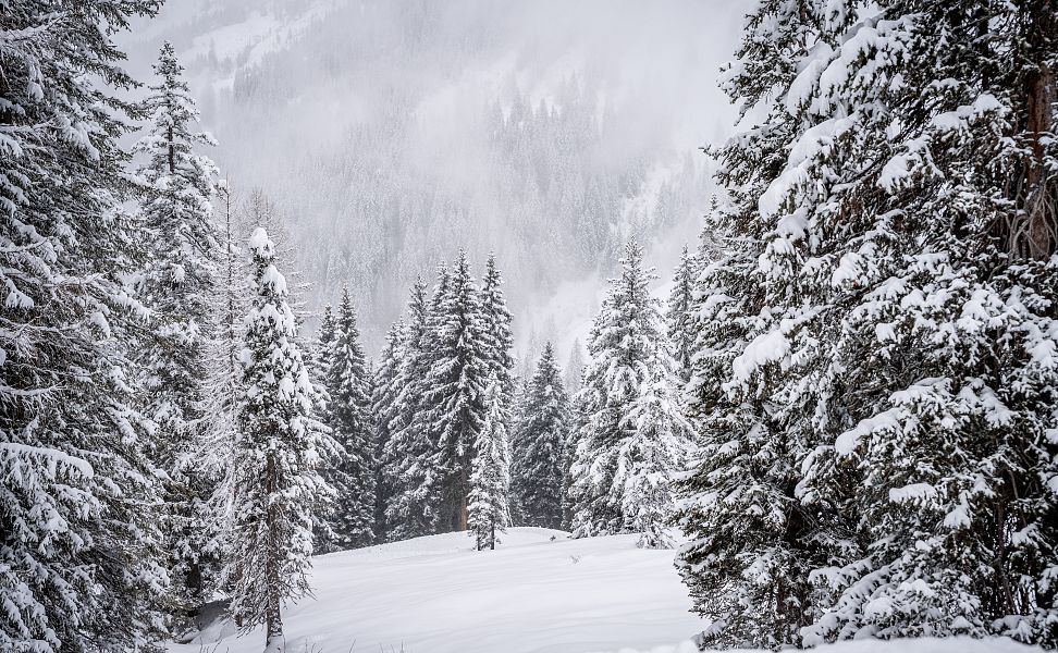 winterlandschaft-mit-nebel-10