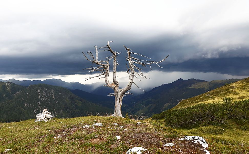 zirbe-loosbuehel-gewitter